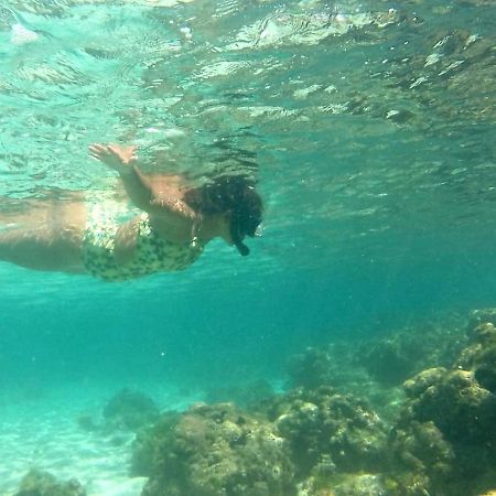 ホテル Ceu Azul ベラ・クルス・デ・イタパリカ エクステリア 写真